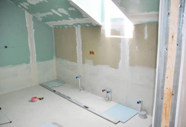 Best Mold Remediation for Healthcare Facilities  in Sandwich, IL
