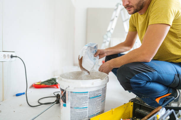 Best Basement Mold Removal  in Sandwich, IL