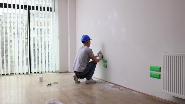 Best Industrial Mold Remediation  in Sandwich, IL