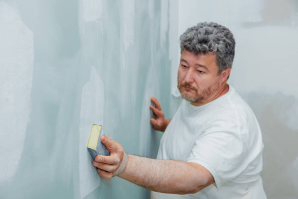 Best Asbestos and Lead Testing During Mold Inspection  in Sandwich, IL